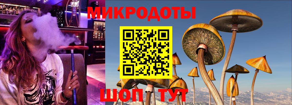 Псилоцибиновые грибы Psilocybine cubensis Пугачёв