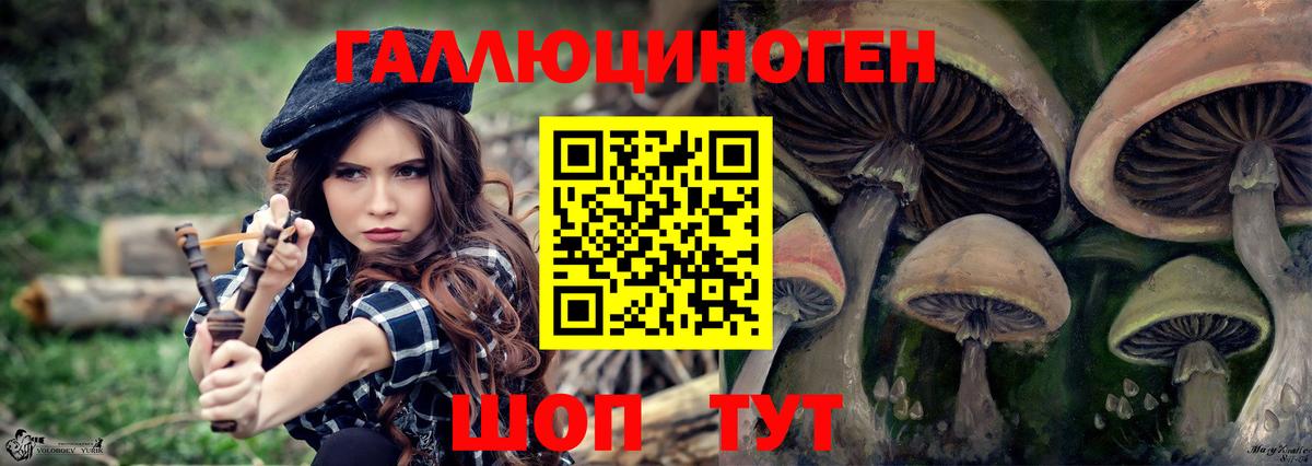 Псилоцибиновые грибы Psilocybe  Галлюциногенные грибы Magic Shrooms  Пугачёв  Вход с VPN 